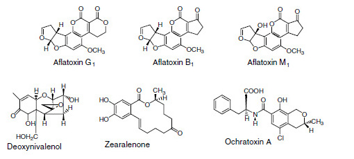 mykotoxins, chemical, aflatoxin, ochratoxin