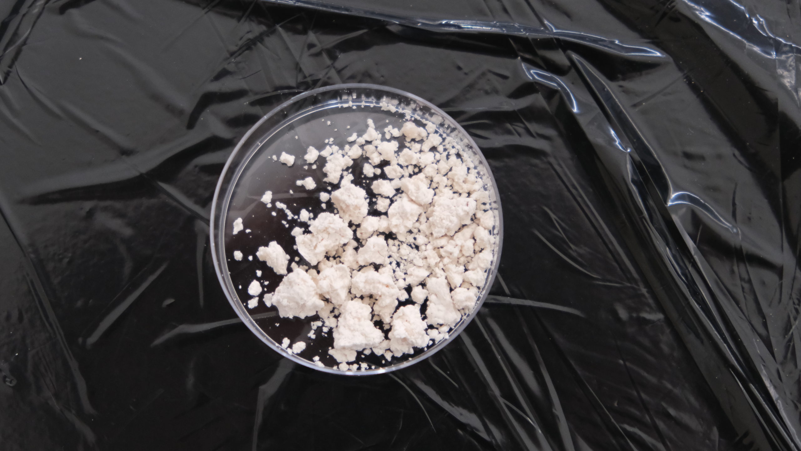III. Lisované kvasnice kmen RIBM95 (Lager Yeast)