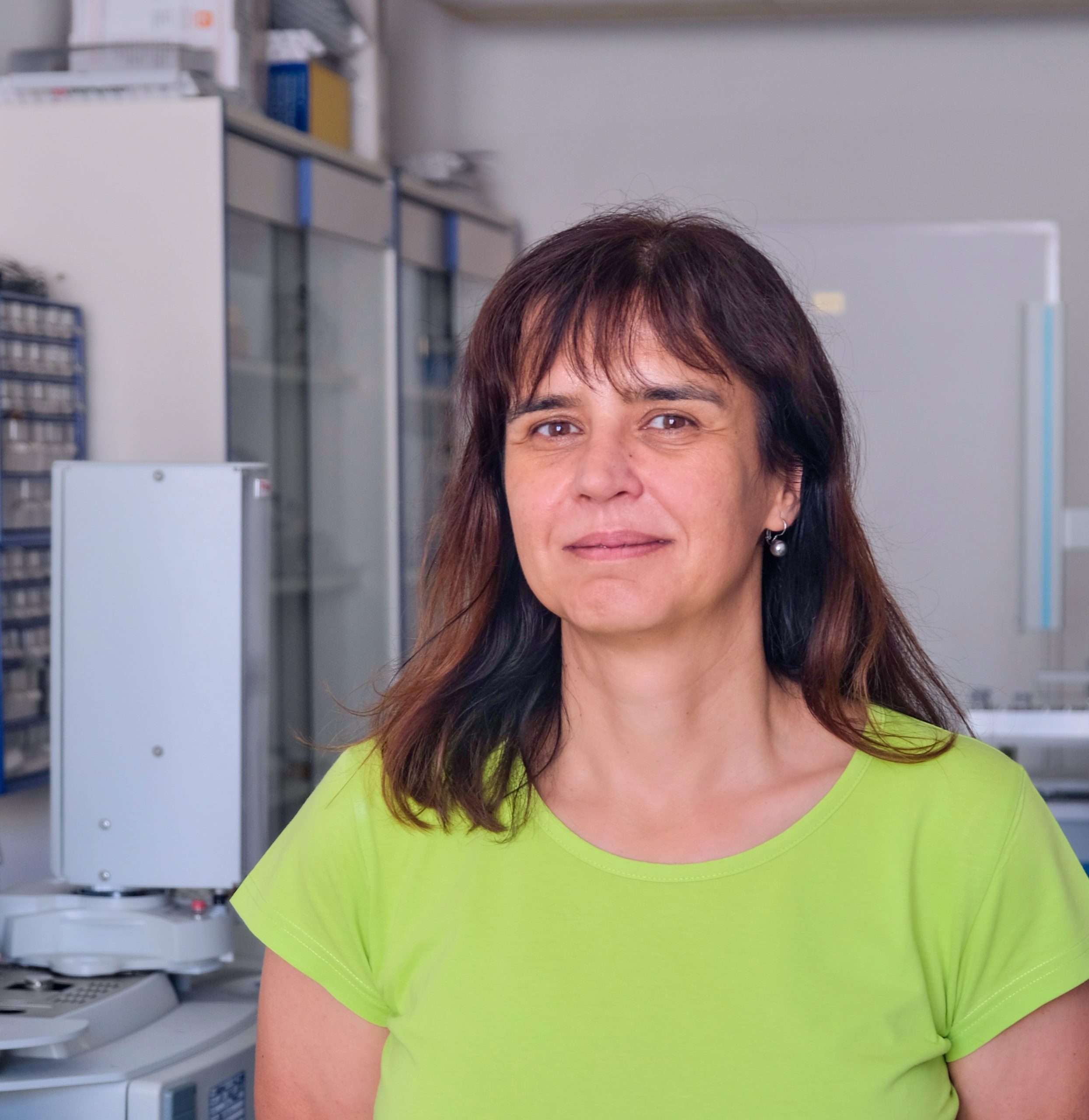 Ing. Sylvie Běláková, Ph.D.