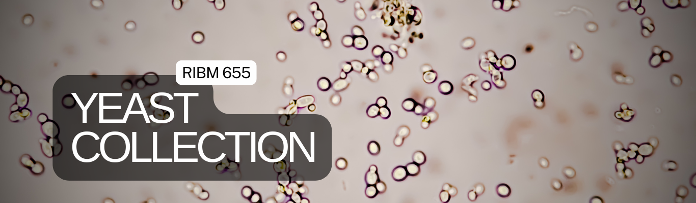 Yeast Collection