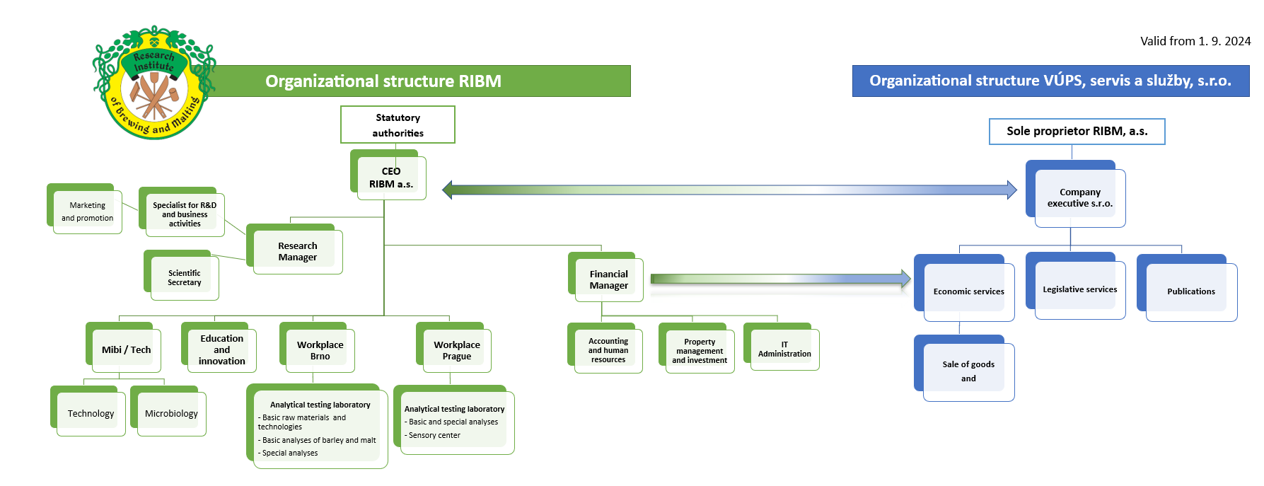 RIBM_Organizational
